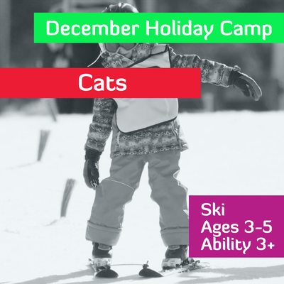 December Holiday Camp - Cats - Ages 3-5 - Ability 3+